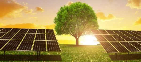 Đầu tư trang trại năng lượng mặt trời hiệu quả tại Việt Nam