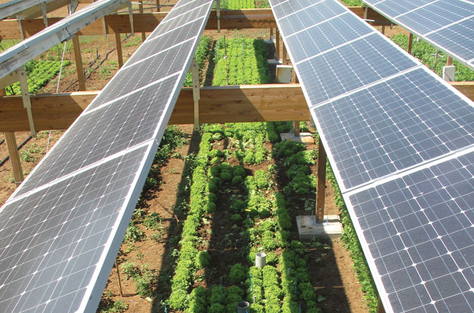 Ứng dụng điện năng lượng mặt trời cho sản xuất nông nghiệp tại Việt Nam