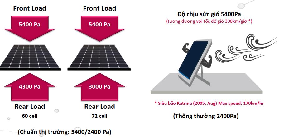 5 Bài test hạng Nặng của tấm pin năng lượng mặt trời LG